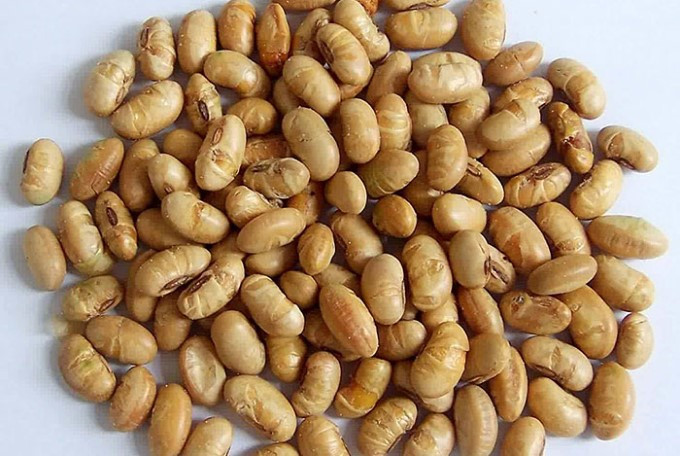 Nguyên liệu không thể thiếu khi làm tương bần chính là đỗ tương