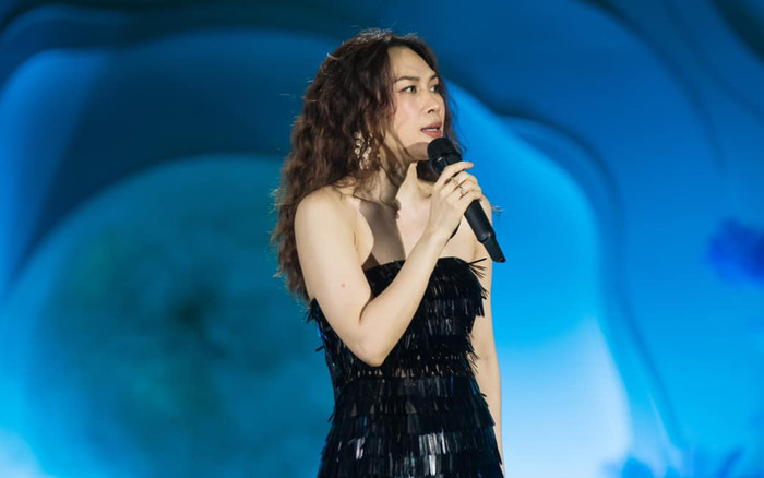 Cháu gái Mỹ Tâm chia sẻ về đêm nhạc ở Đà Nẵng Ảnh 2