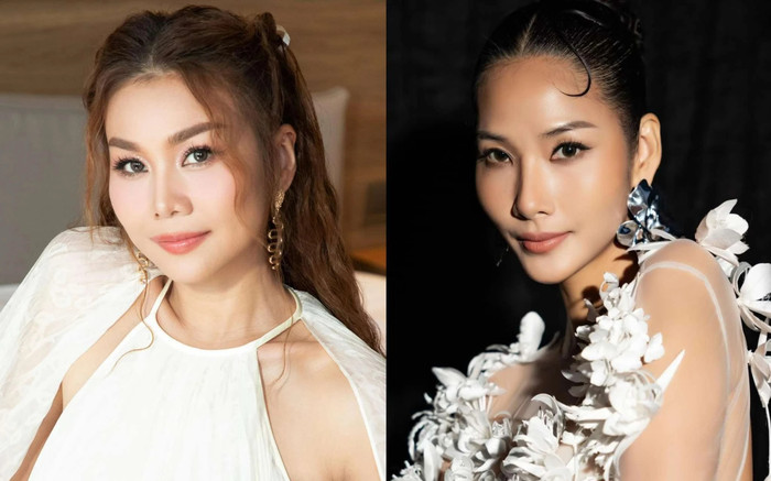 Vụ Thanh Hằng tố cáo Hoàng Thuỳ: Luật sư lên tiếng Ảnh 2