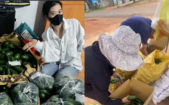 Thấy ba mẹ buồn vì cả tấn bơ ế, cô gái đăng bài giải cứu và kết quả bất ngờ Ảnh 2