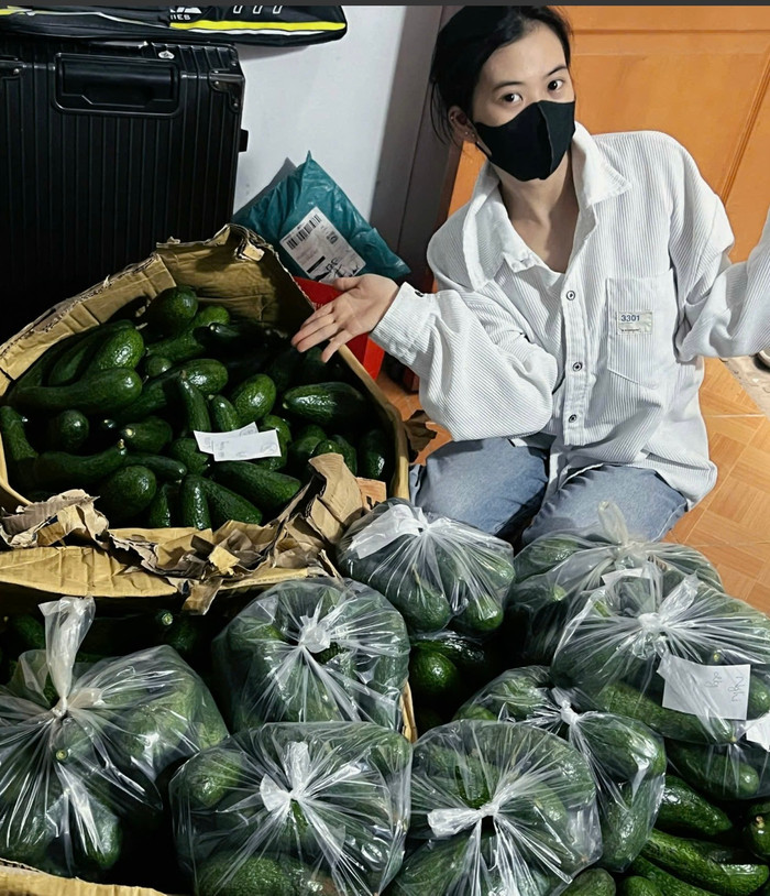 Ngọc đã giải cứu bơ giúp mẹ từ mạng xã hội.