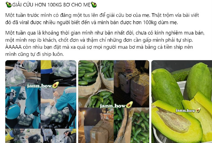 Bài đăng giải cứu bơ của Ngọc thu hút sự quan tâm của cộng đồng mạng.