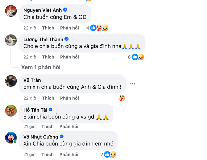 NSƯT Việt Anh, Lương Thế Thành và nhiều nghệ sĩ Việt gửi lời động viên Lê Nam.
