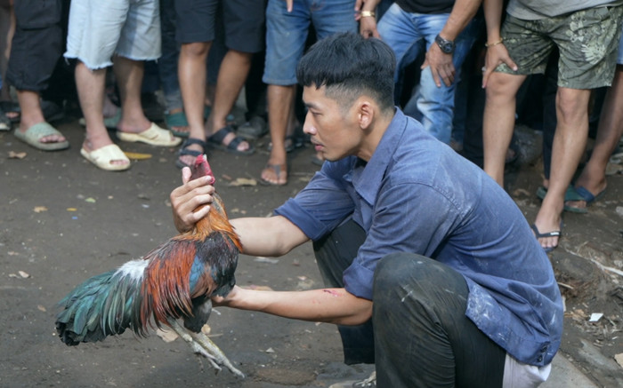 'Con trai' Hoài Linh làm giàu nhờ đá gà, nhảy sông để trốn chủ nợ trong phim mới Ảnh 2