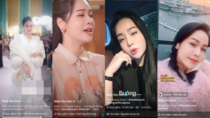Chuyện gì đang xảy ra với Nhật Kim Anh? Ảnh 2