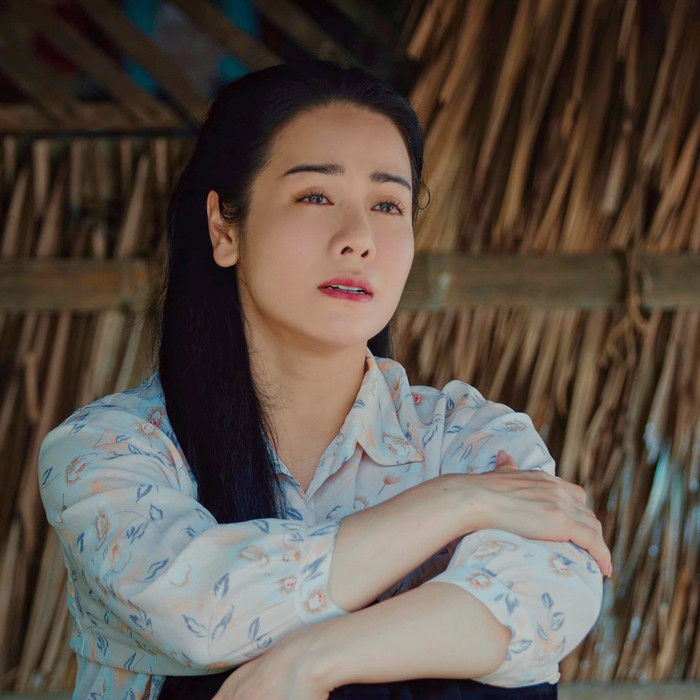 Chuyện gì đang xảy ra với Nhật Kim Anh? Ảnh 3