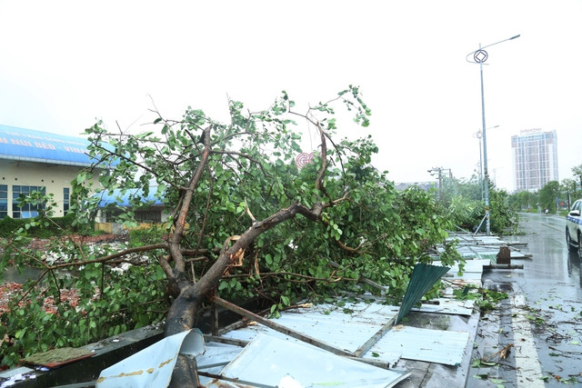 Do ảnh hưởng của hoàn lưu bão, trên địa bàn TP Hạ Long có gió mạnh nhất cấp 8-9, giật cấp 11 làm nhiều cây xanh, bảng biển quảng cáo gãy, đổ. 