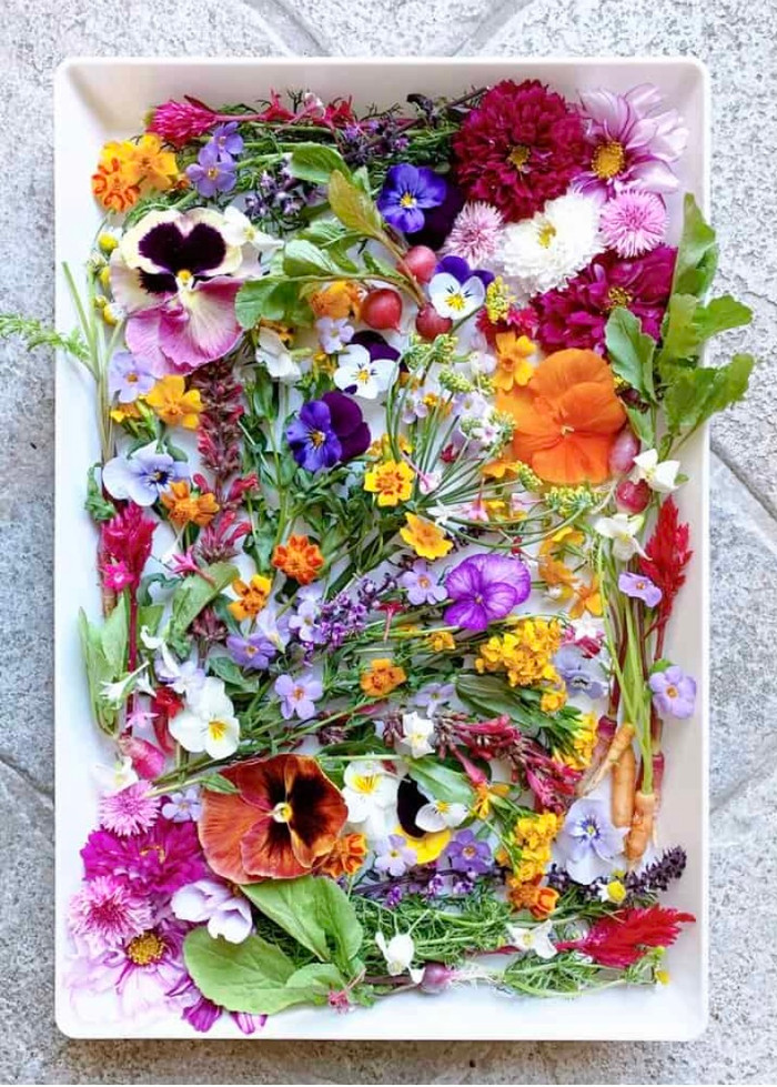 Ăn sống hoa tươi, nhiều công dụng bất ngờ không phải ai cũng biết Ảnh 1