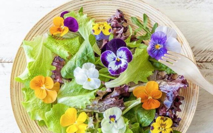 Ăn sống hoa tươi, nhiều công dụng bất ngờ không phải ai cũng biết Ảnh 2