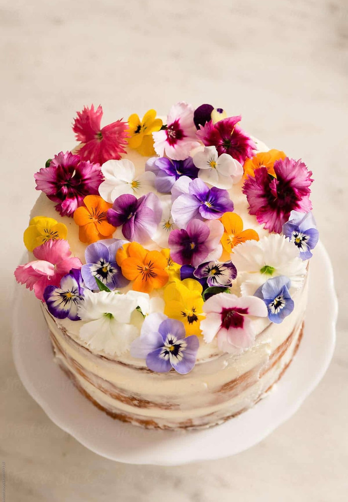 Ăn sống hoa tươi, nhiều công dụng bất ngờ không phải ai cũng biết Ảnh 2