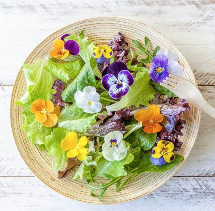 Ăn sống hoa tươi, nhiều công dụng bất ngờ không phải ai cũng biết Ảnh 3