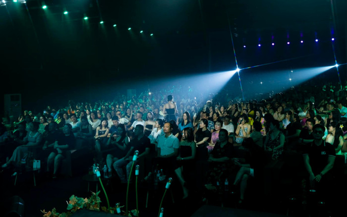 Nữ ca sĩ Việt nổi tiếng rầm rộ nhưng không ai biết mặt, biến mất khỏi showbiz không rõ lý do Ảnh 2