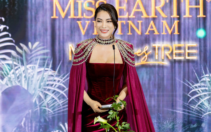 Trương Ngọc Ánh đang bế tắc? Ảnh 2