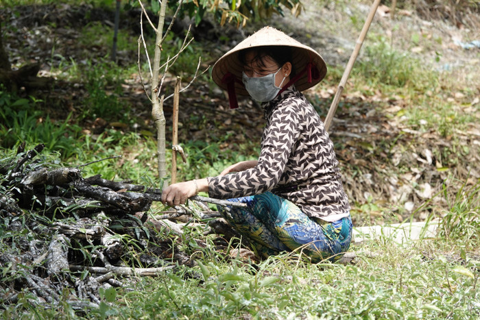 Mẹ Ánh Viên chăm sóc vườn nhà