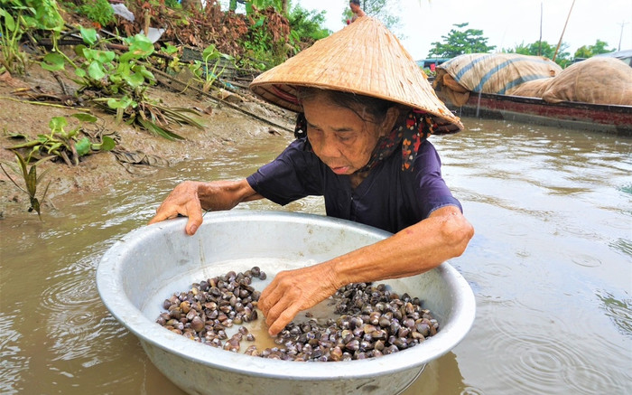 Xúc động cụ bà 71 tuổi lội sông mò hến nuôi mẹ già U100 và chị gái bị tàn tật Ảnh 2