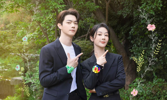 Top 10 phim được tìm kiếm nhiều nhất nửa đầu 2024: Triệu Lệ Dĩnh đánh bại Lưu Diệc Phi - Dương Mịch Ảnh 3