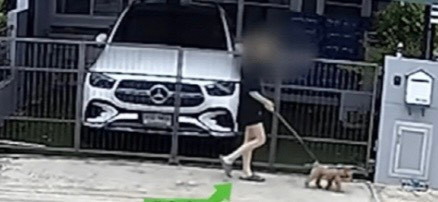 Gwendolyn Cretton đã dắt chó cưng đi dạo bên ngoài căn hộ của mình ở thời điểm 5 giờ 30 phút chiều. 