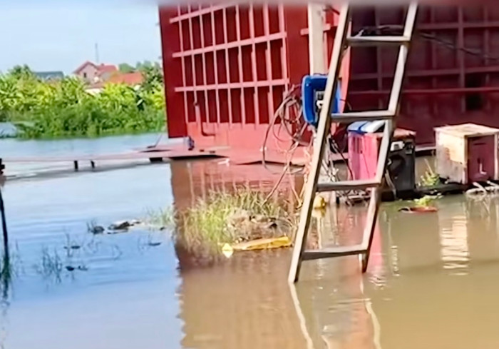 Nghe điện thoại của anh shipper, bé gái liền bơi qua sông nhận hàng khiến dân tình bất ngờ Ảnh 2