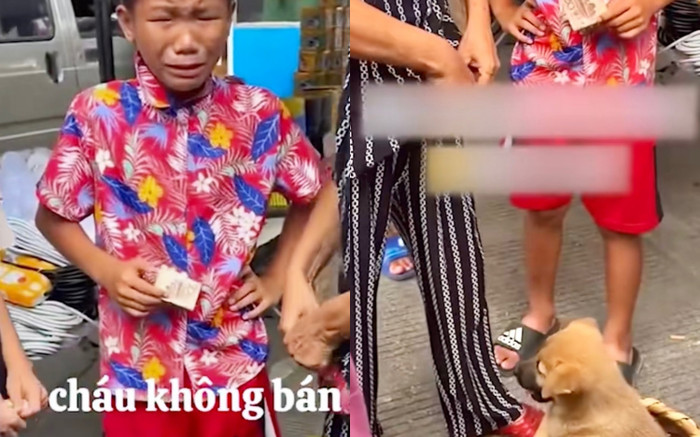 Buộc phải bán đi chú chó nhỏ của gia đình, cậu bé bật khóc không nỡ xa khiến nhiều người xúc động Ảnh 2
