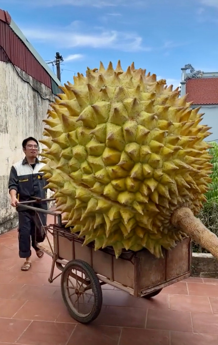 Thực chất, đây chỉ là sản phẩm sáng tạo AI.