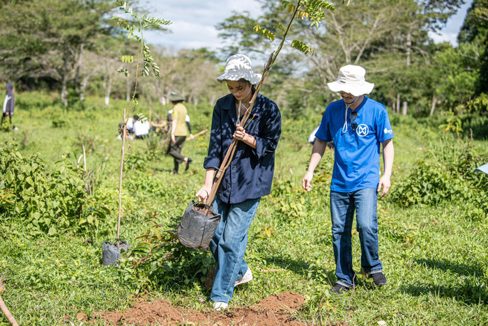 Ý Nhi tham gia trồng cây tại Vườn Quốc Gia Cát Tiên. Ảnh: FBNV