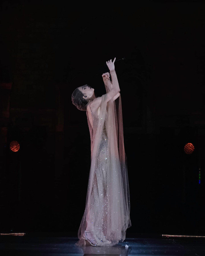 Hồ Ngọc Hà đang gặp khó khăn? Ảnh 3