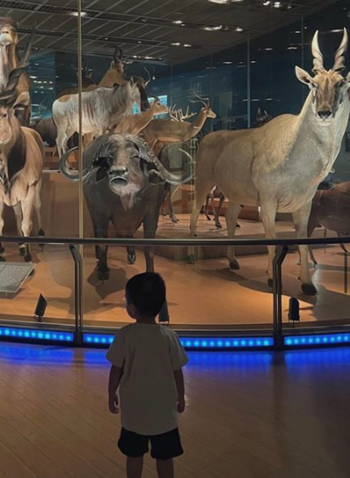 Cuộc sống hào môn 'ngậm thìa vàng' của 3 quý tử, ái nữ nhà Tăng Thanh Hà Ảnh 4