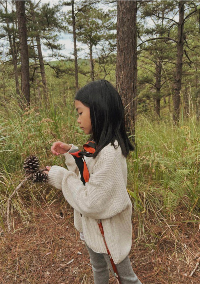 Cuộc sống hào môn 'ngậm thìa vàng' của 3 quý tử, ái nữ nhà Tăng Thanh Hà Ảnh 2