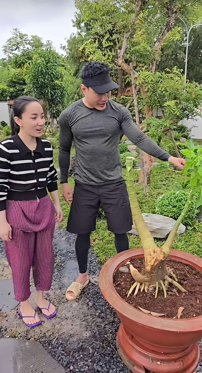 Nam diễn viên hài hước nói 'Có một đơn vị trả 7 tỷ cho cây này'.