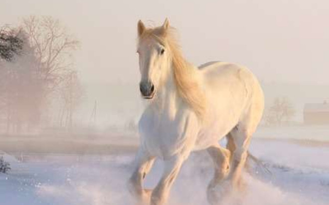 3 con giáp càng chăm chỉ càng giàu có trong tháng 8 Ảnh 2