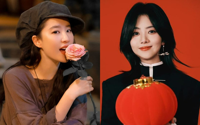 Khuyết điểm khiến Đàm Tùng Vận và Lưu Diệc Phi bị chê Ảnh 2