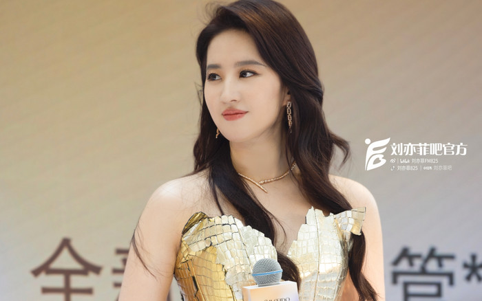 Lần duy nhất Lưu Diệc Phi bị đồn mang thai Ảnh 2