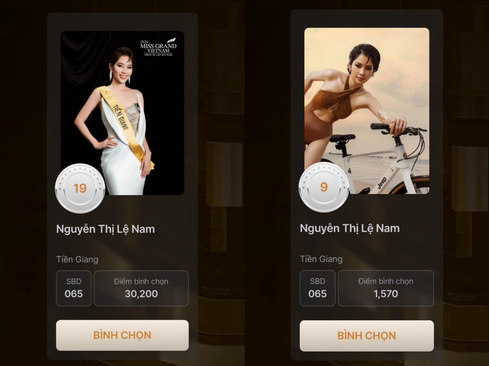 Lệ Nam trượt top 5 thí sinh có lượt bình chọn cao nhất trong 2 hạng mục Best in swimsuit và Miss Popular.