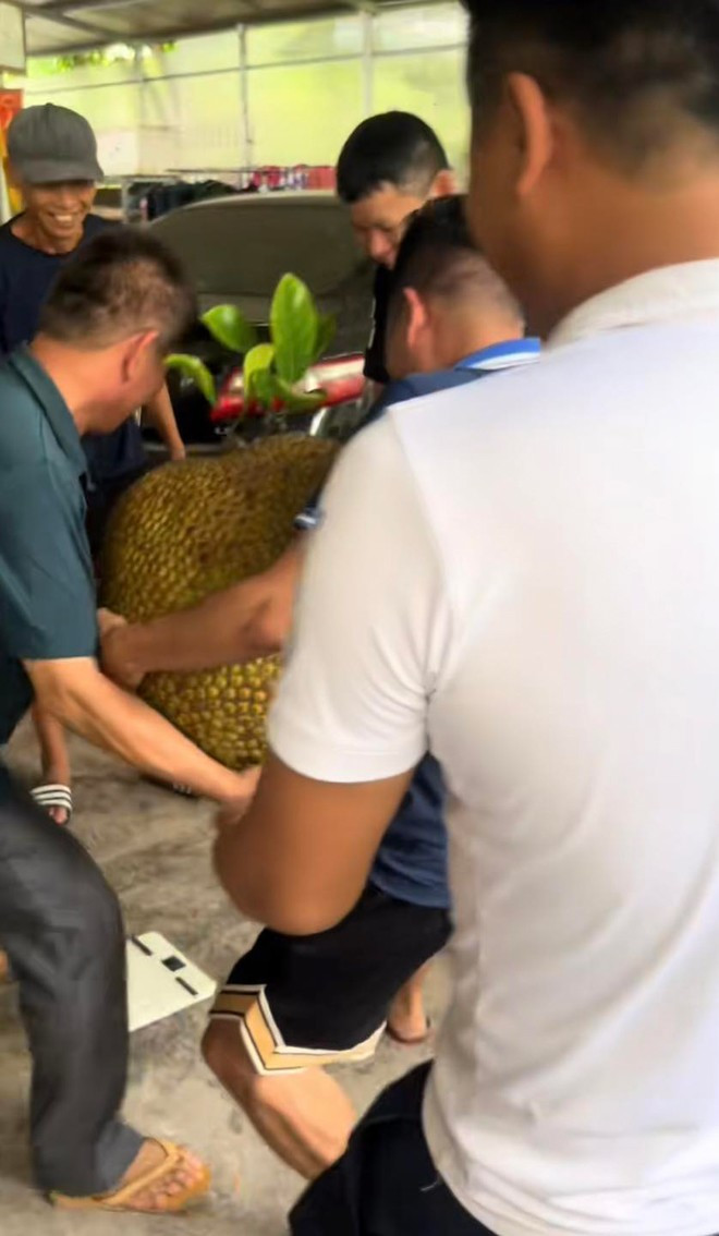 Sau đó mọi người phải chạy vào bê giúp