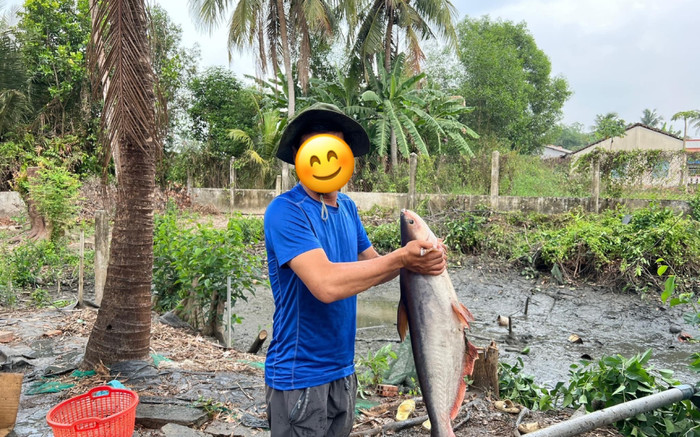 Nam diễn viên nổi tiếng bỏ vợ về quê sống ẩn dật, cắm câu làm vườn như nông dân Ảnh 2