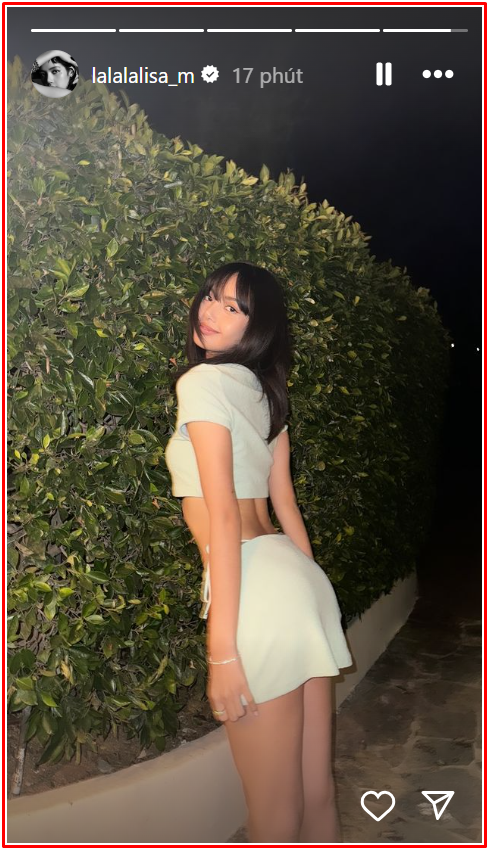 Lisa làm gì giữa cáo buộc đạo nhái? Ảnh 4