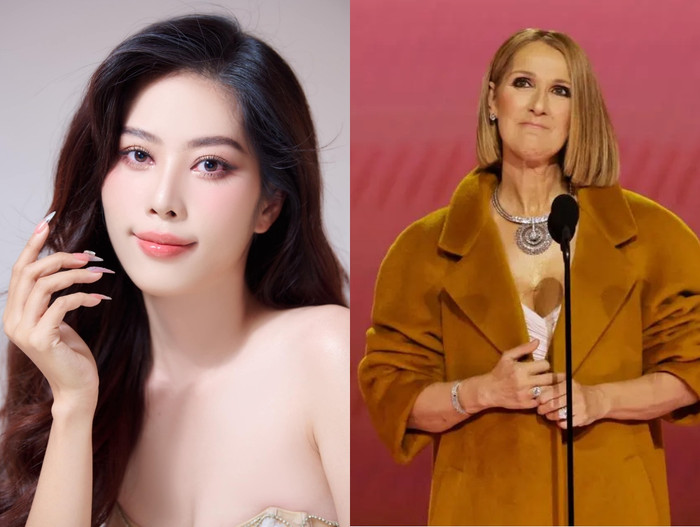 Nam Em công khai bảo vệ danh ca Celine Dion. 