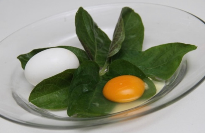 Loại lá mọc hoang đầy đường mang nấu cùng trứng gà được ví như tiên dược, chữa được nhiều bệnh Ảnh 4