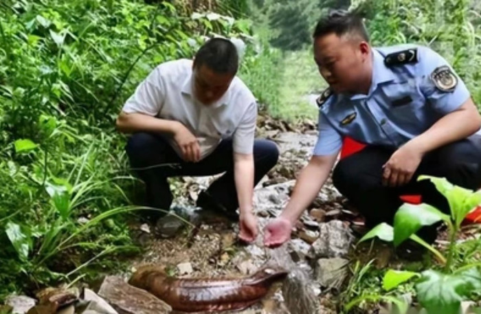 Bắt được 'cá lạ' có móng vuốt, người đàn ông hốt hoảng báo cảnh sát và cái kết bất ngờ Ảnh 2