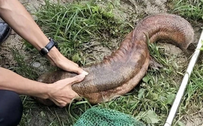 Bắt được 'cá lạ' có móng vuốt, người đàn ông hốt hoảng báo cảnh sát và cái kết bất ngờ Ảnh 2