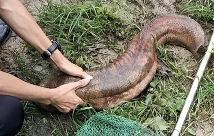 Bắt được 'cá lạ' có móng vuốt, người đàn ông hốt hoảng báo cảnh sát và cái kết bất ngờ Ảnh 1