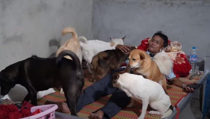 Anh coi chúng như con của mình