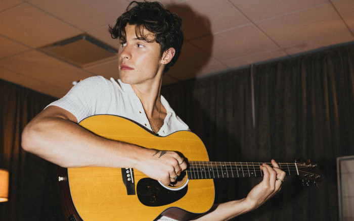 Shawn Mendes tung album mới sau 4 năm, người hâm mộ hụt hẫng? Ảnh 2