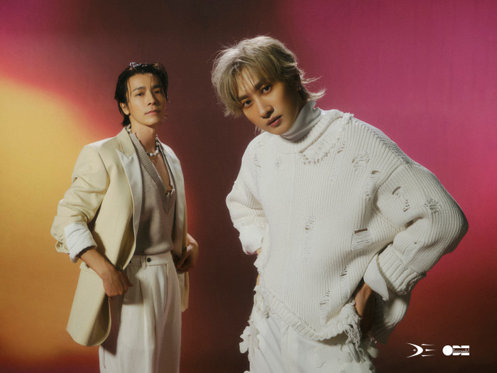 Việt Nam đặc biệt với SUPER JUNIOR ra sao? Ảnh 2