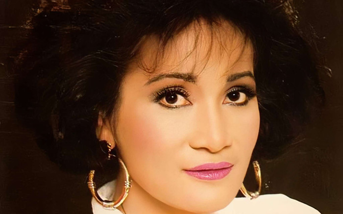 Nữ ca sĩ Việt 5 đời chồng, đi bưng bê ở quán bar, cuộc sống giờ thay đổi ra sao? Ảnh 2