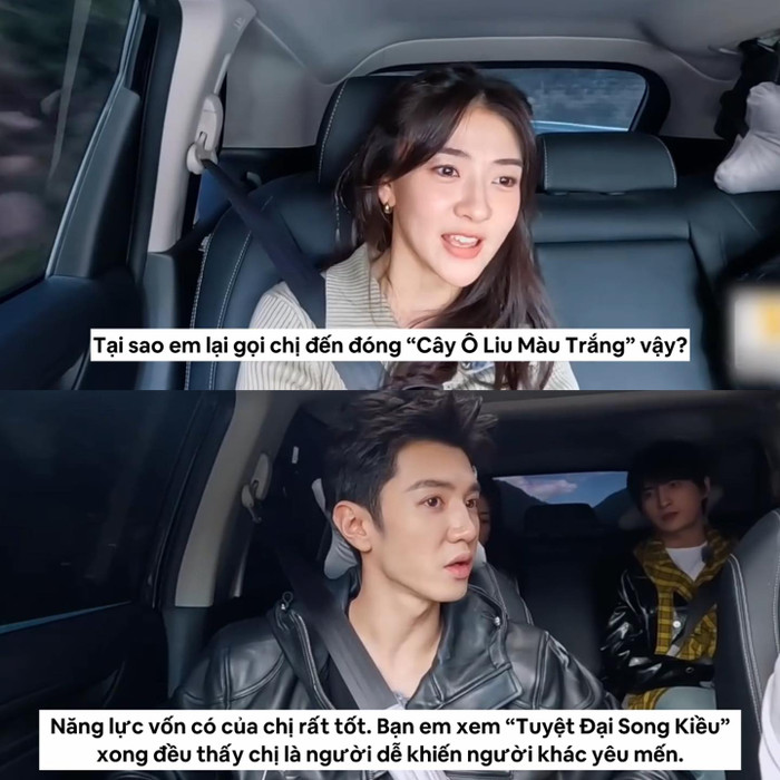 Trần Triết Viễn chia sẻ lý do mời Lương Khiết đóng chung trong Cây Ô Liu Màu Trắng.