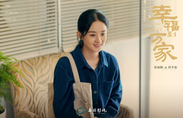 Triệu Lệ Dĩnh có diễn xuất tốt nhất trong những phim nào? Ảnh 2