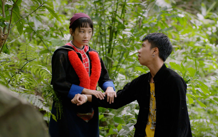 Chải rất cưng chiều Pu