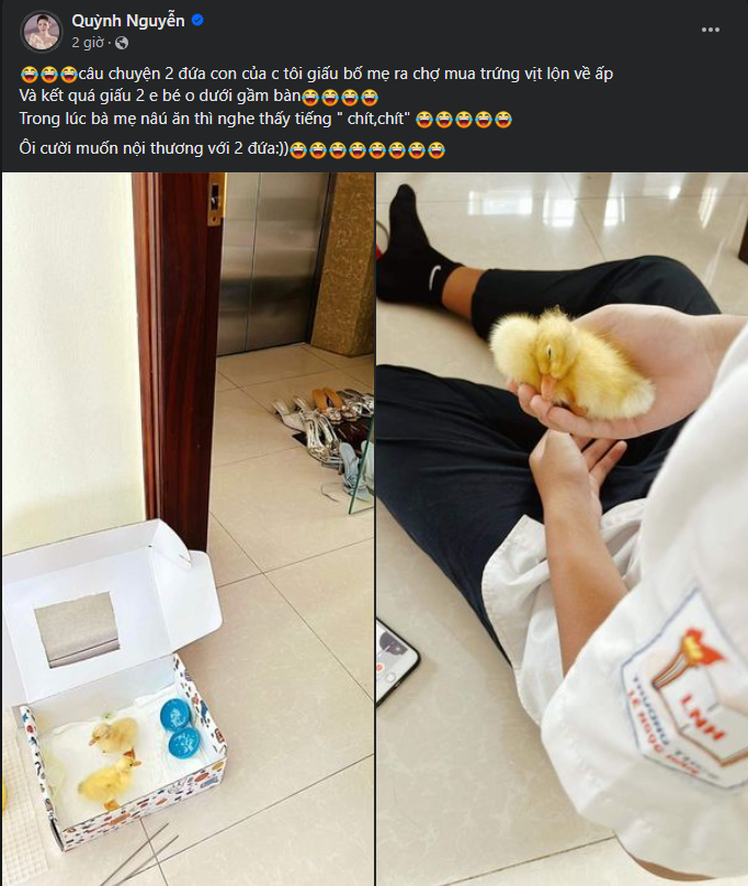 Quỳnh Kool thông báo gia đình mới đón thêm 2 em bé