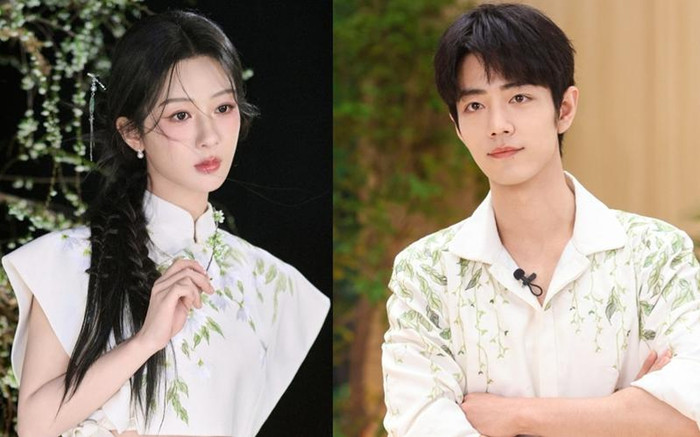 Phim do Dương Tử, Tiêu Chiến đóng chính không đem lại lợi nhuận Ảnh 2